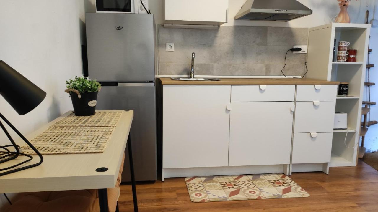 With Bathroom, Refrigerator And Microwave Apartament Barcelona